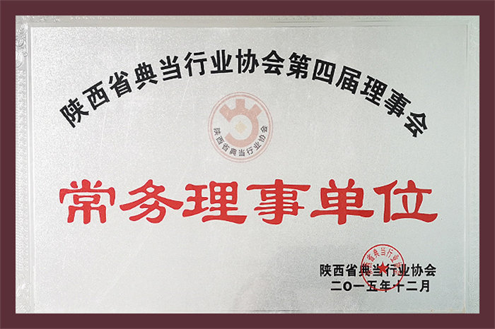 陕西省典当行业协会第四届理事会 常务理事单位