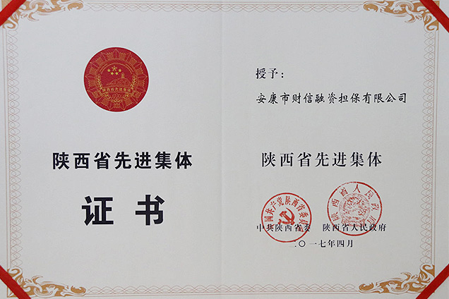 陕西省政府性融资担保体系成员单位